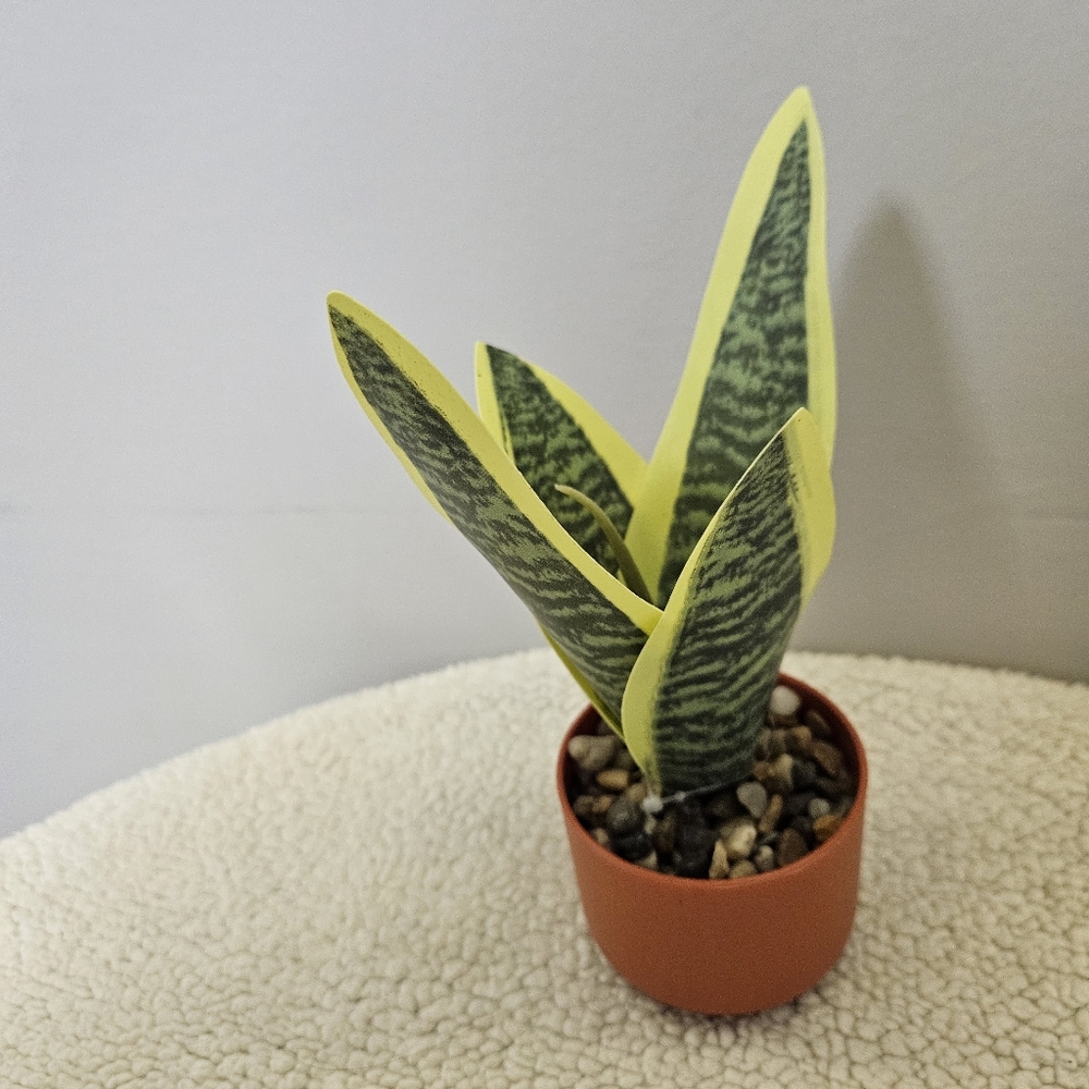Green and Yellow Reptile Plant Decor - Picture 7 of 8